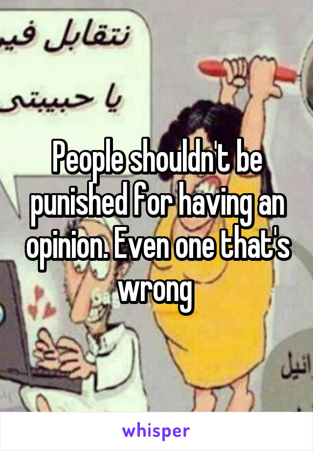 People shouldn't be punished for having an opinion. Even one that's wrong 