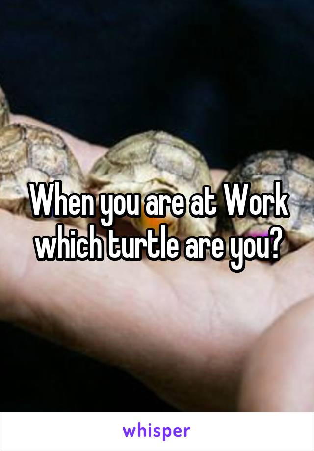 When you are at Work which turtle are you?