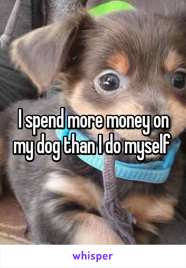 I spend more money on my dog than I do myself 