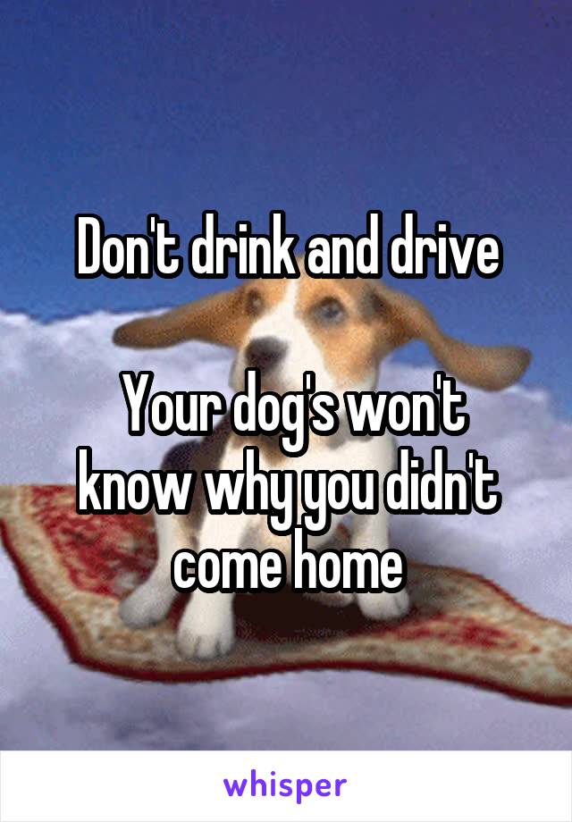 Don't drink and drive

 Your dog's won't know why you didn't come home