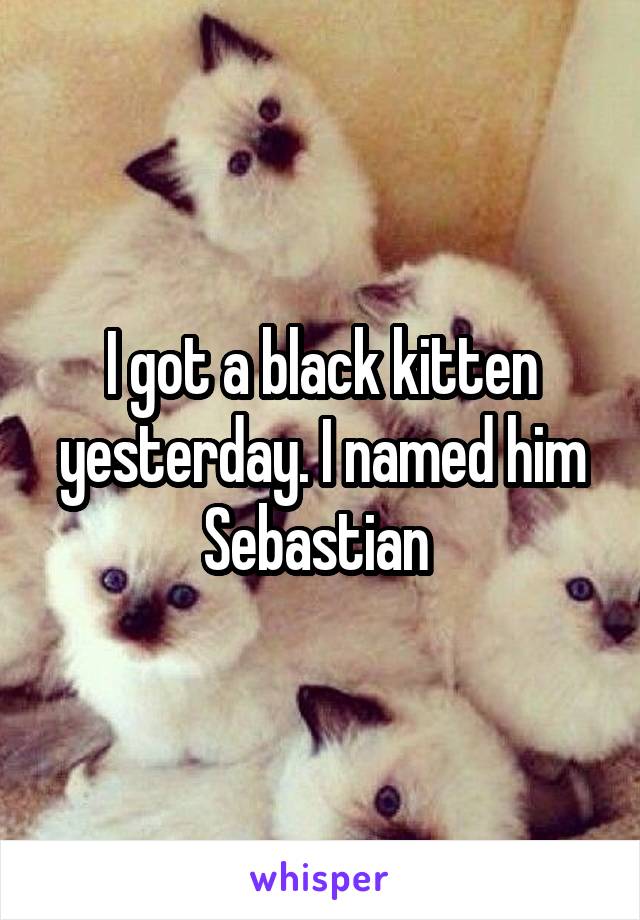 I got a black kitten yesterday. I named him Sebastian 