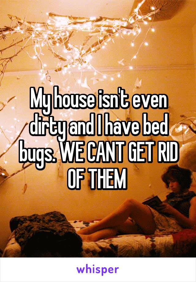 My house isn't even dirty and I have bed bugs. WE CANT GET RID OF THEM 