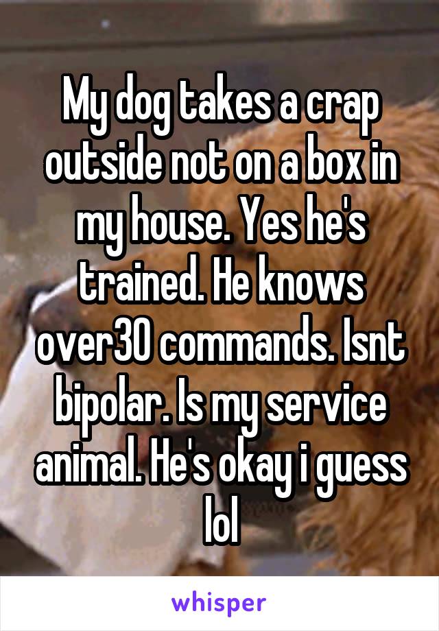My dog takes a crap outside not on a box in my house. Yes he's trained. He knows over30 commands. Isnt bipolar. Is my service animal. He's okay i guess lol
