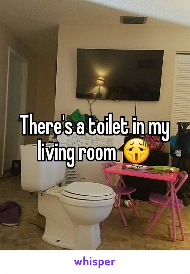 There's a toilet in my living room 😫