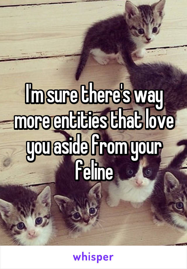 I'm sure there's way more entities that love you aside from your feline