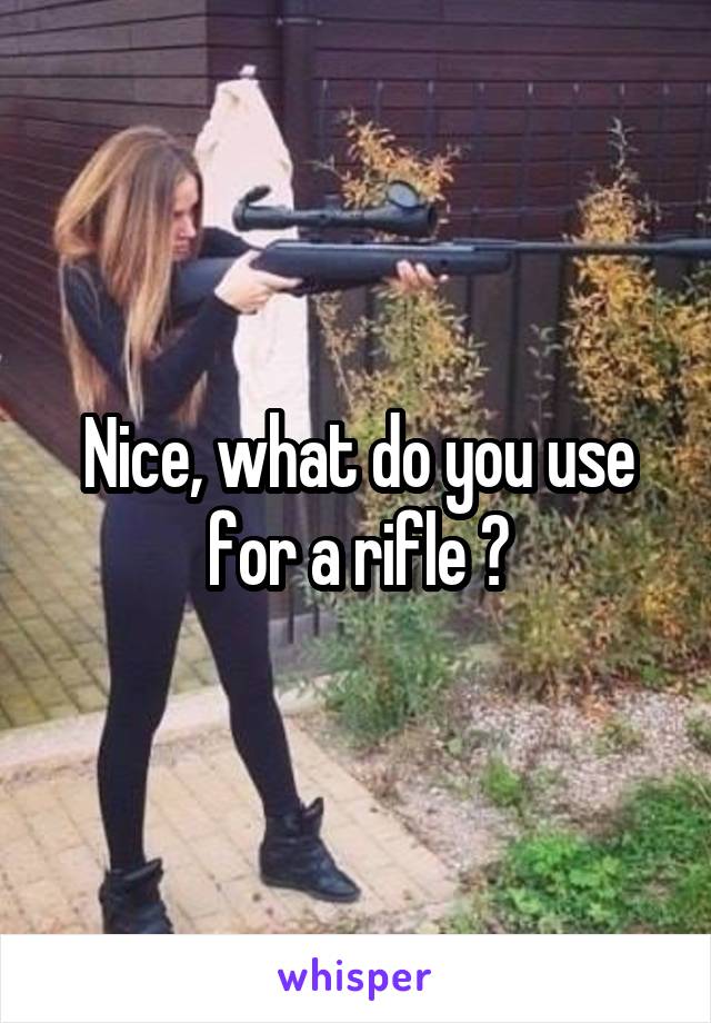 Nice, what do you use for a rifle ?