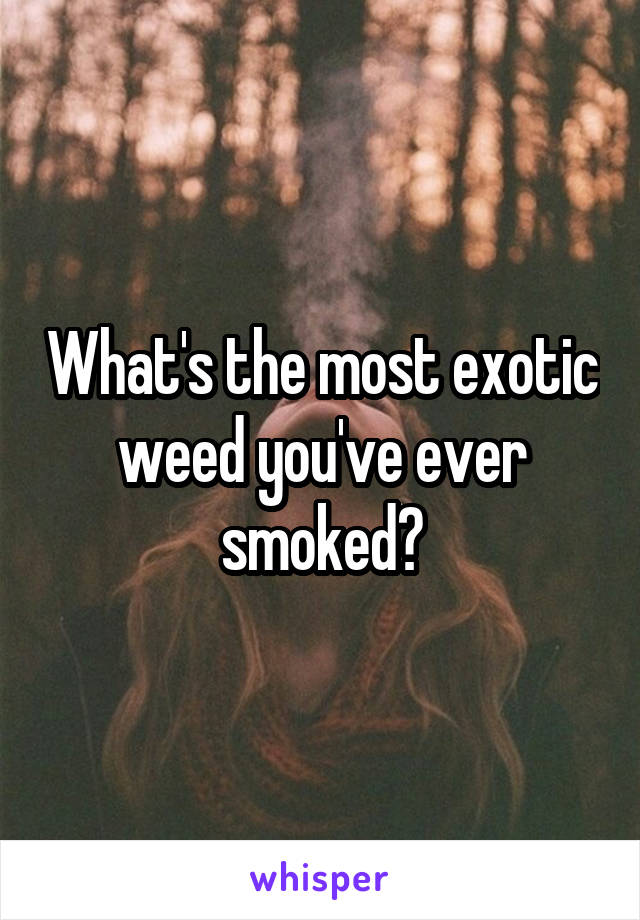 What's the most exotic weed you've ever smoked?