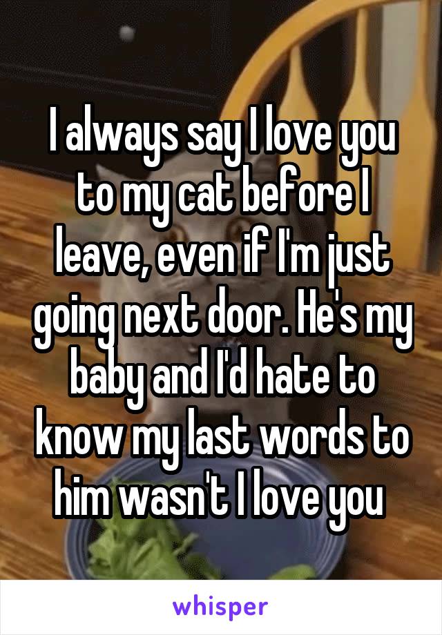 I always say I love you to my cat before I leave, even if I'm just going next door. He's my baby and I'd hate to know my last words to him wasn't I love you 