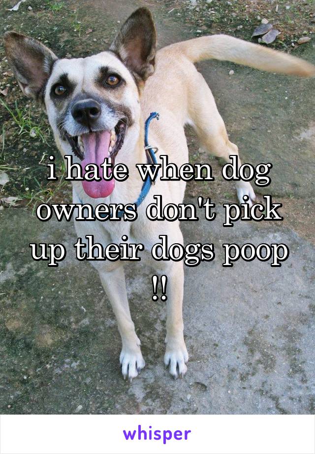 i hate when dog owners don't pick up their dogs poop !!