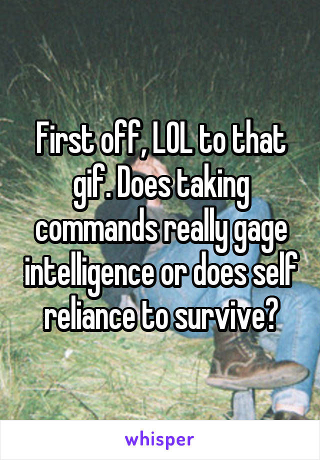 First off, LOL to that gif. Does taking commands really gage intelligence or does self reliance to survive?