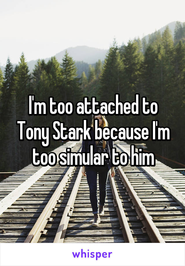 I'm too attached to Tony Stark because I'm too simular to him
