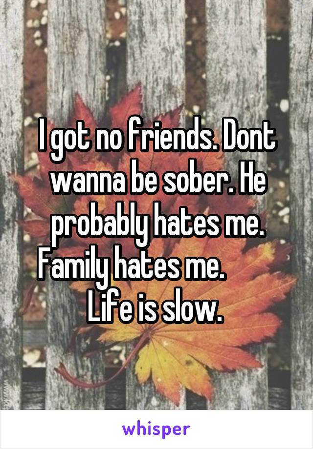 I got no friends. Dont wanna be sober. He probably hates me. Family hates me.          Life is slow. 