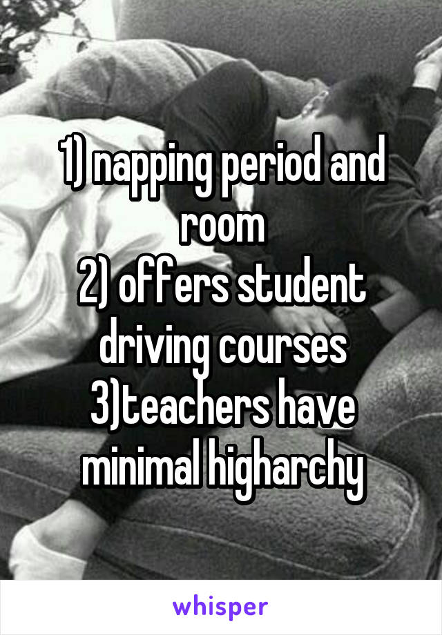1) napping period and room
2) offers student driving courses
3)teachers have minimal higharchy