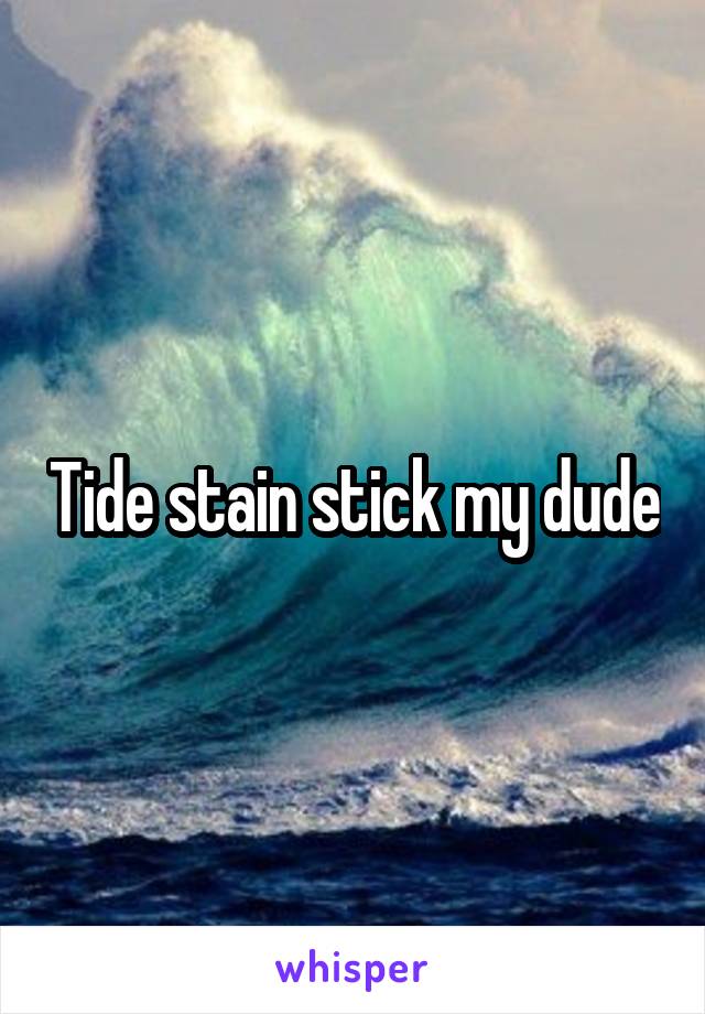 Tide stain stick my dude