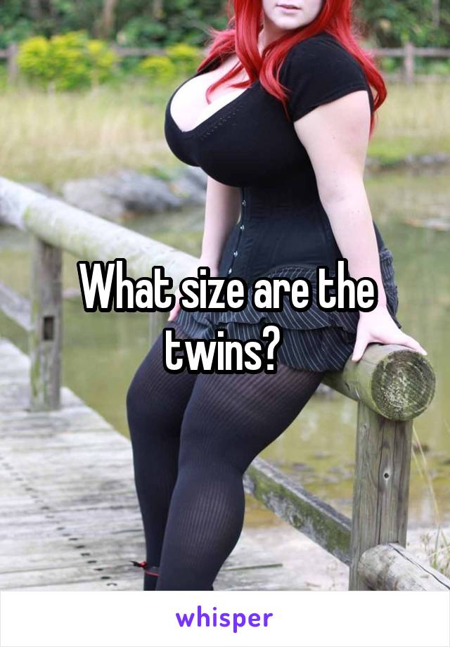 What size are the twins? 