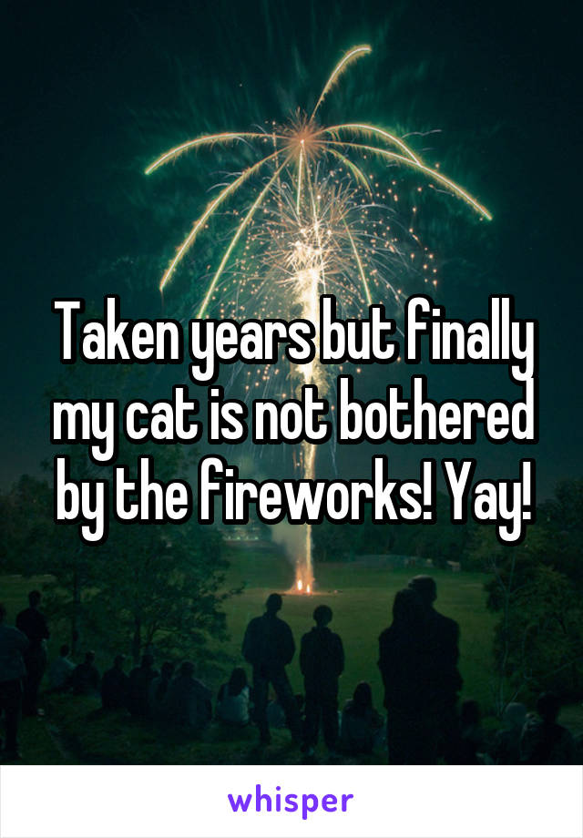 Taken years but finally my cat is not bothered by the fireworks! Yay!