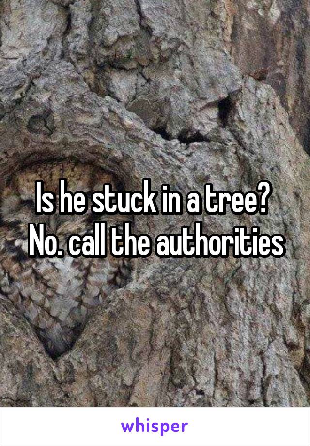 Is he stuck in a tree?  No. call the authorities