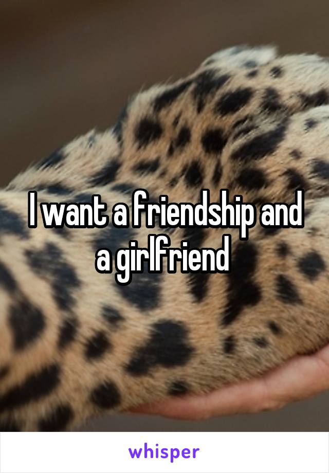 I want a friendship and a girlfriend 