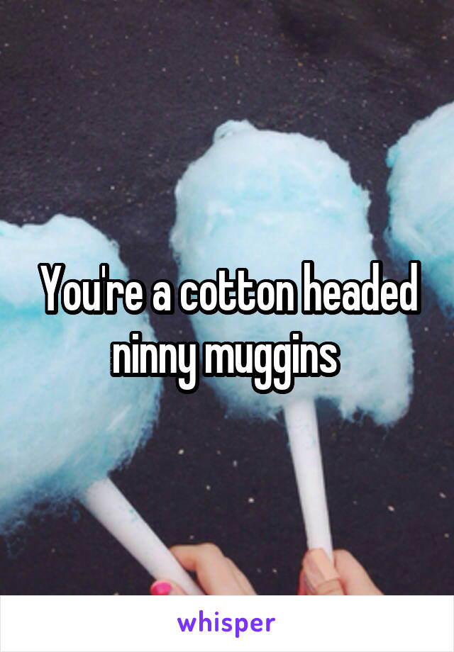 You're a cotton headed ninny muggins 