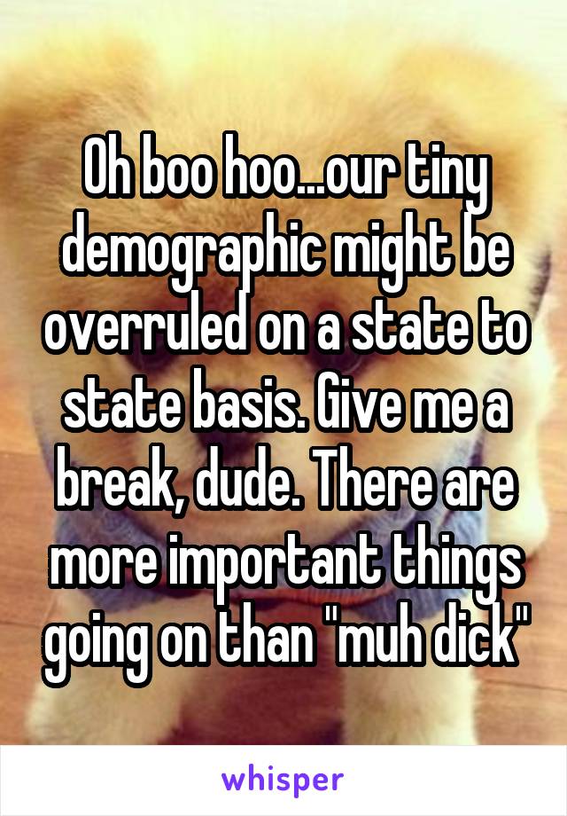 Oh boo hoo...our tiny demographic might be overruled on a state to state basis. Give me a break, dude. There are more important things going on than "muh dick"