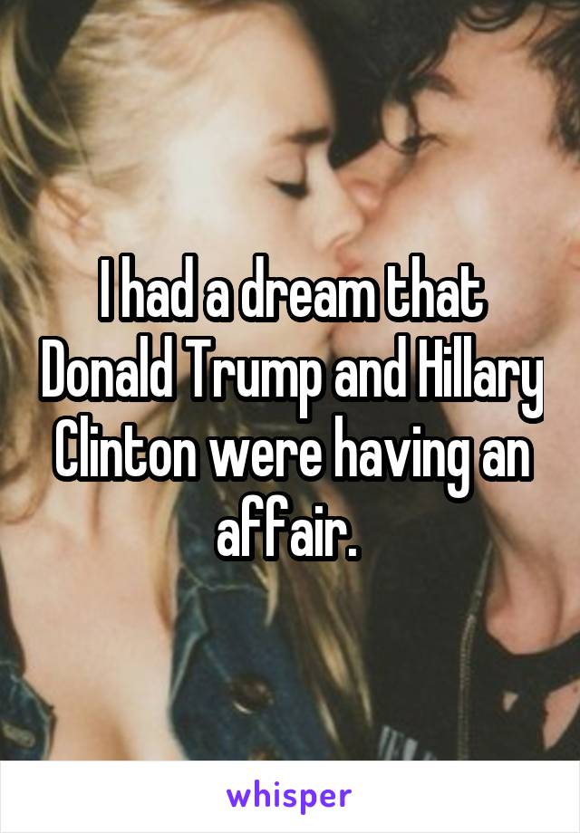 I had a dream that Donald Trump and Hillary Clinton were having an affair. 