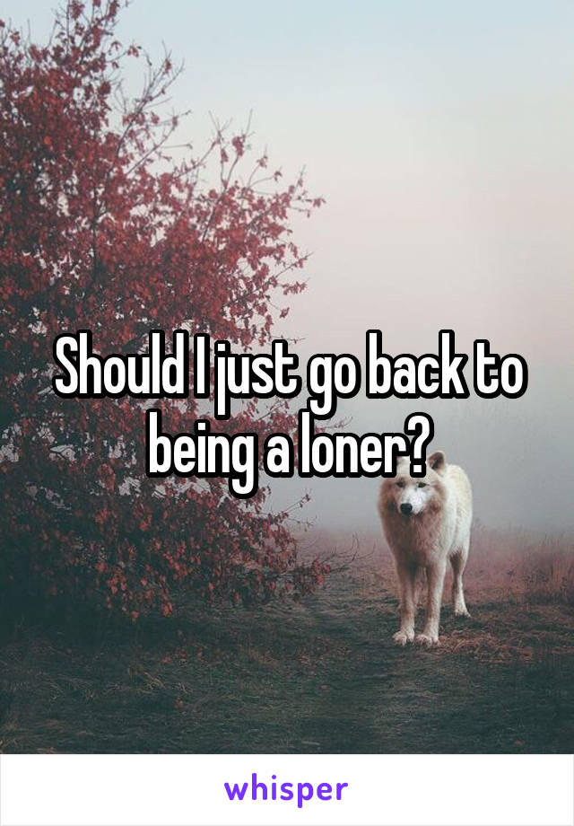 Should I just go back to being a loner?