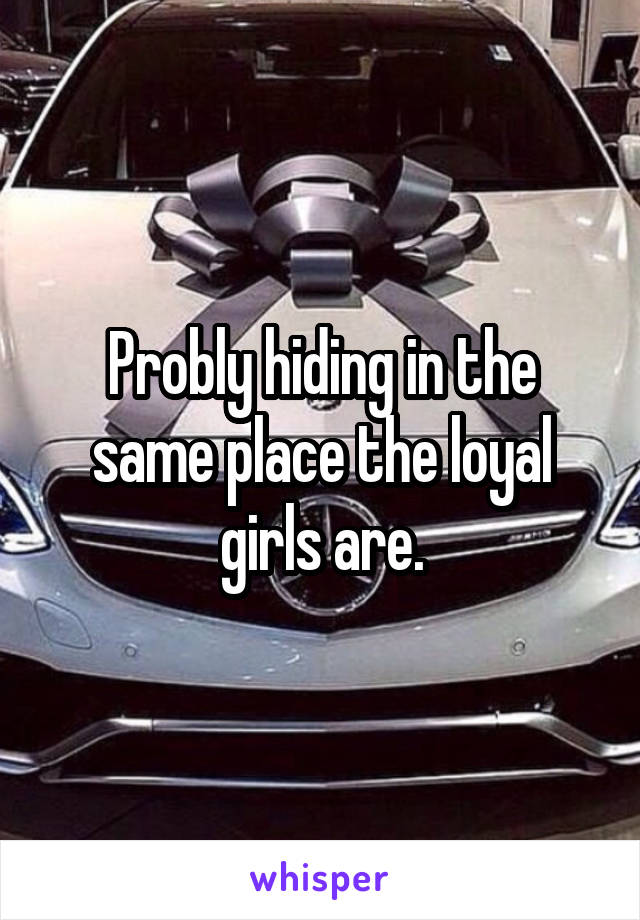 Probly hiding in the same place the loyal girls are.