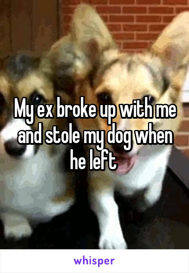 My ex broke up with me and stole my dog when he left 
