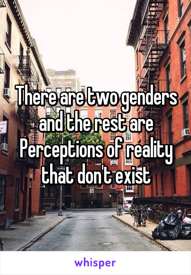There are two genders and the rest are Perceptions of reality that don't exist