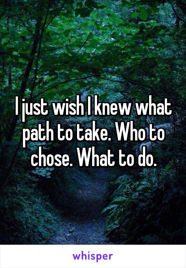 I just wish I knew what path to take. Who to chose. What to do.
