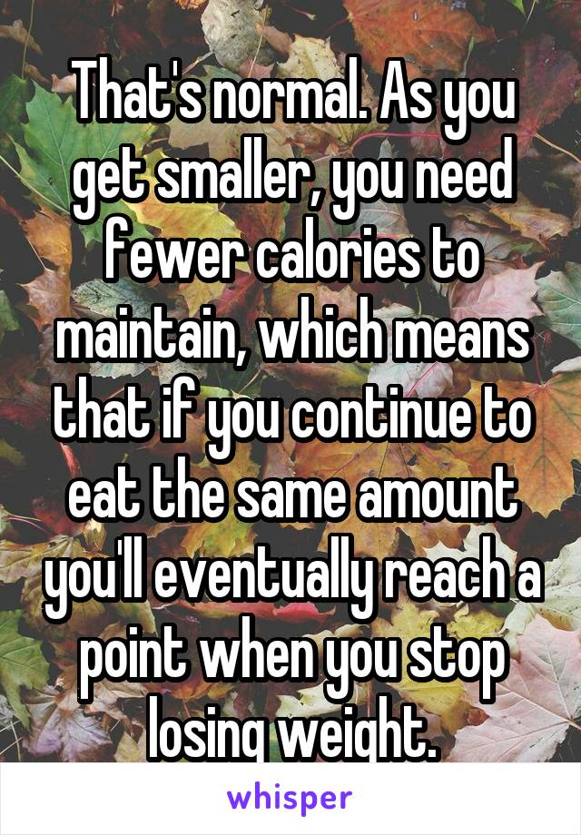 That's normal. As you get smaller, you need fewer calories to maintain, which means that if you continue to eat the same amount you'll eventually reach a point when you stop losing weight.