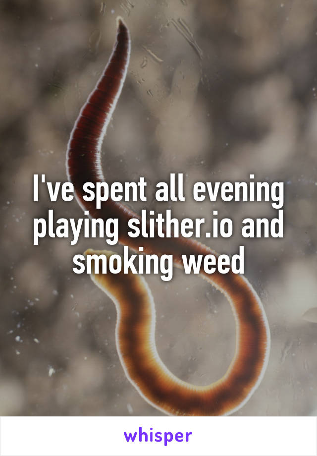 I've spent all evening playing slither.io and smoking weed