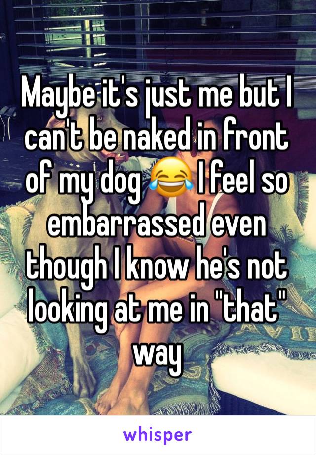 Maybe it's just me but I can't be naked in front of my dog 😂 I feel so embarrassed even though I know he's not looking at me in "that" way