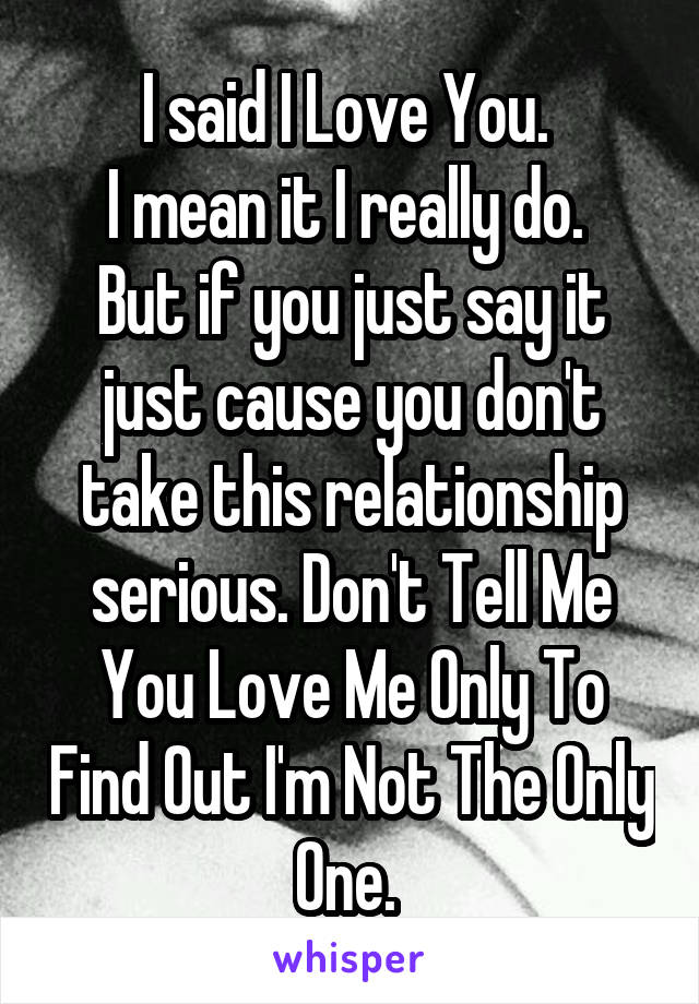 I said I Love You. 
I mean it I really do. 
But if you just say it just cause you don't take this relationship serious. Don't Tell Me You Love Me Only To Find Out I'm Not The Only One. 