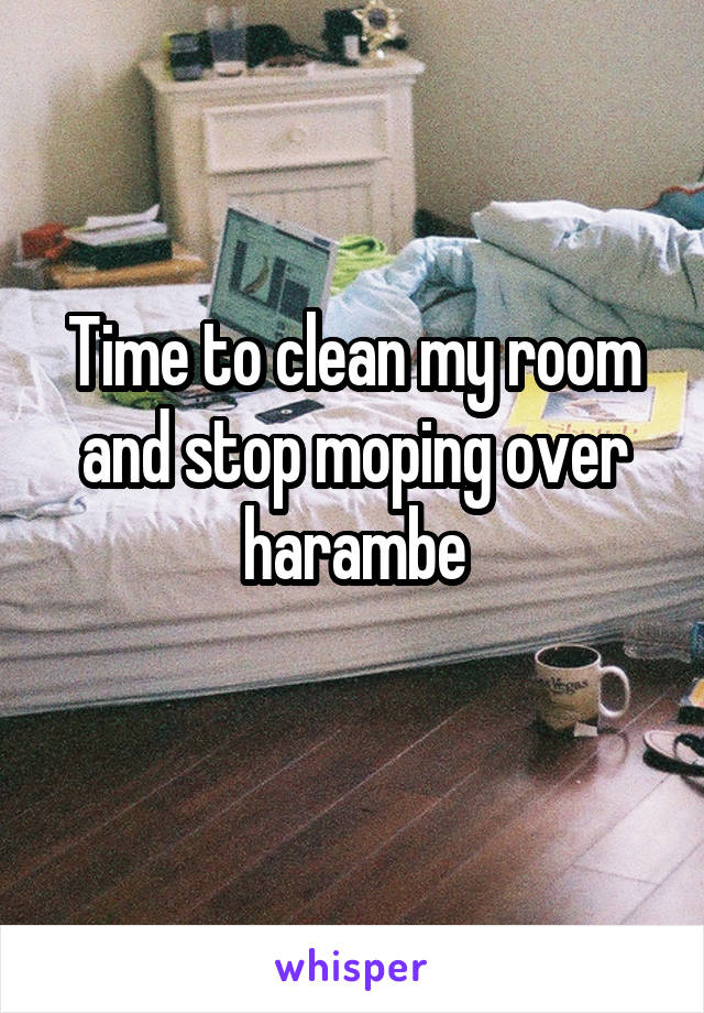 Time to clean my room and stop moping over harambe
