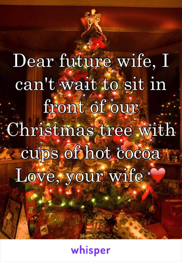 Dear future wife, I can't wait to sit in front of our Christmas tree with cups of hot cocoa 
Love, your wife ❤️