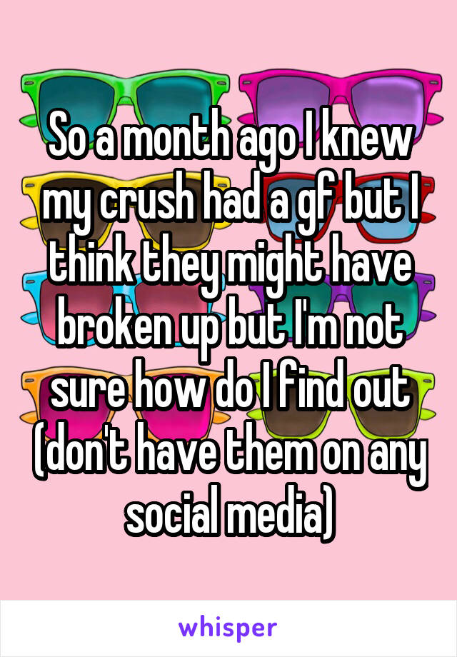 So a month ago I knew my crush had a gf but I think they might have broken up but I'm not sure how do I find out (don't have them on any social media)