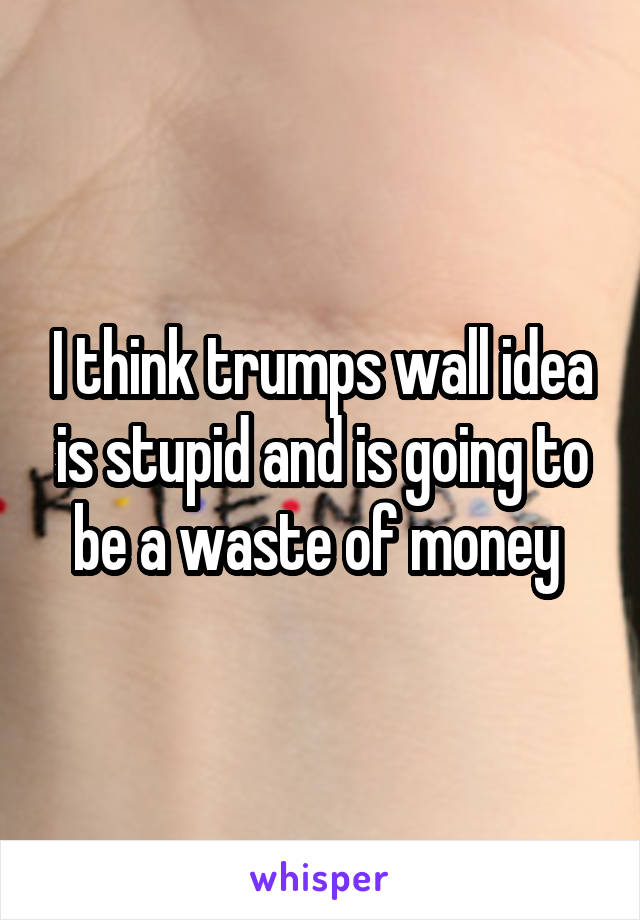 I think trumps wall idea is stupid and is going to be a waste of money 