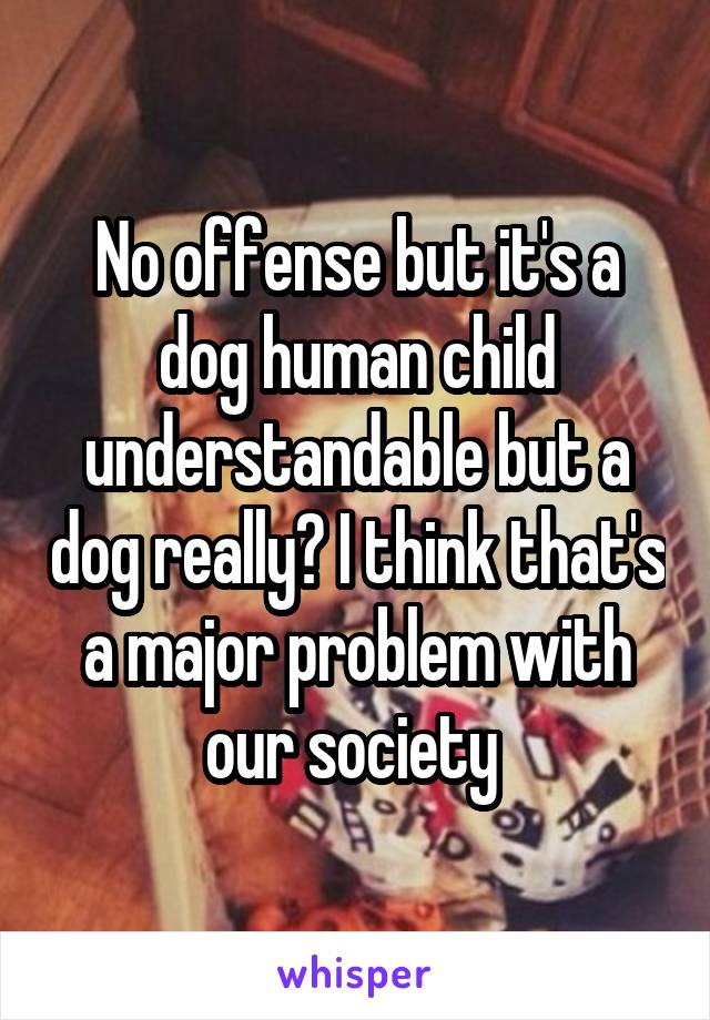 No offense but it's a dog human child understandable but a dog really? I think that's a major problem with our society 