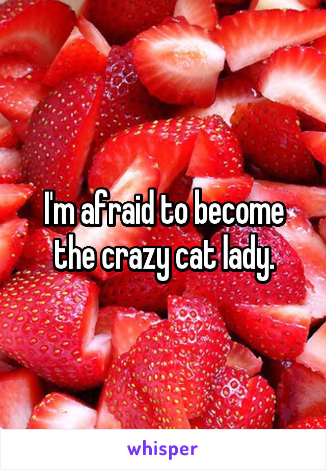 I'm afraid to become the crazy cat lady.