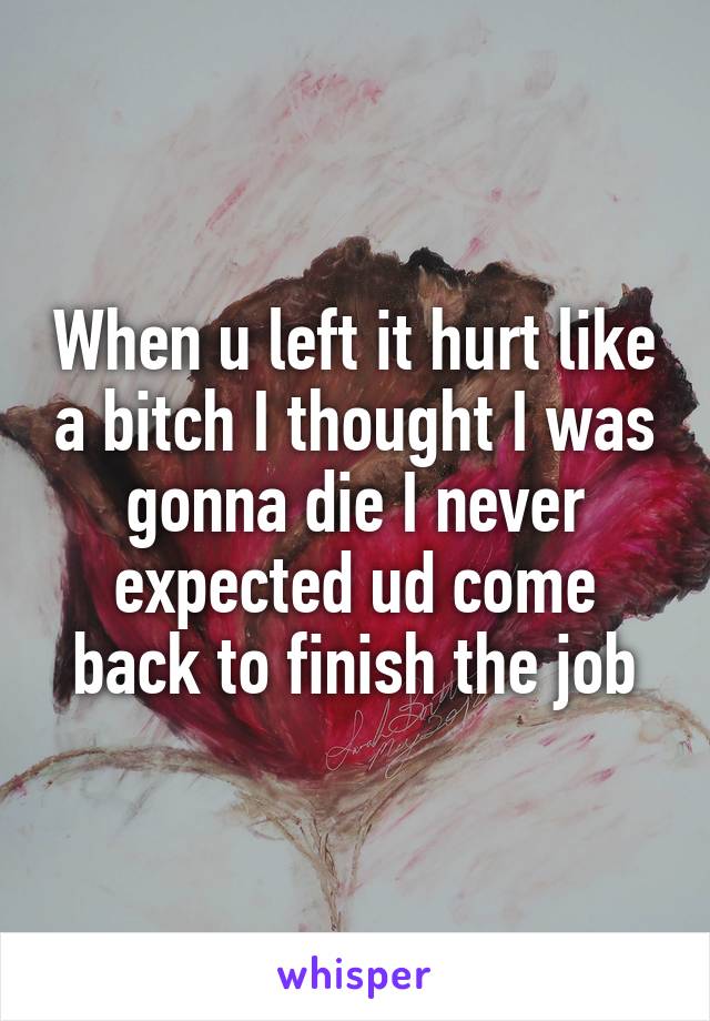 When u left it hurt like a bitch I thought I was gonna die I never expected ud come back to finish the job
