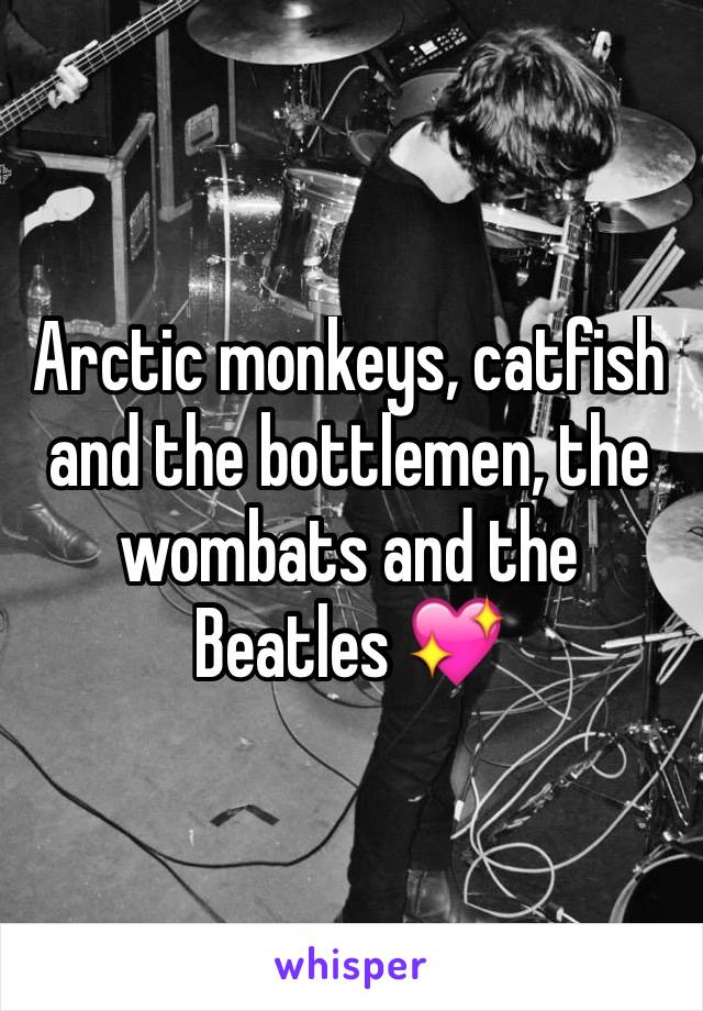 Arctic monkeys, catfish and the bottlemen, the wombats and the Beatles 💖