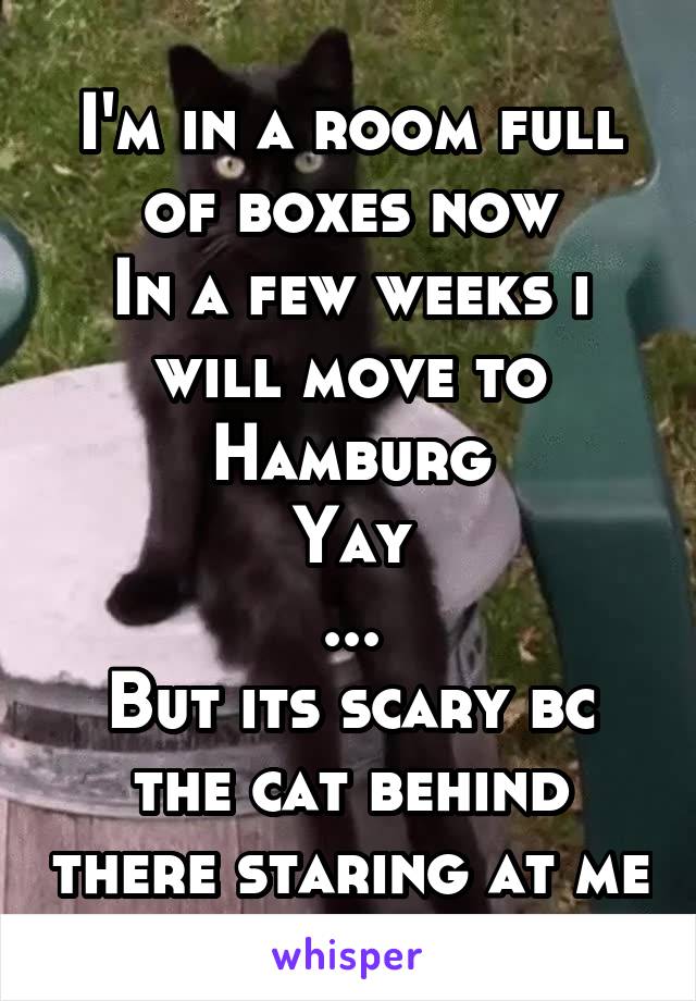 I'm in a room full of boxes now
In a few weeks i will move to Hamburg
Yay
...
But its scary bc the cat behind there staring at me