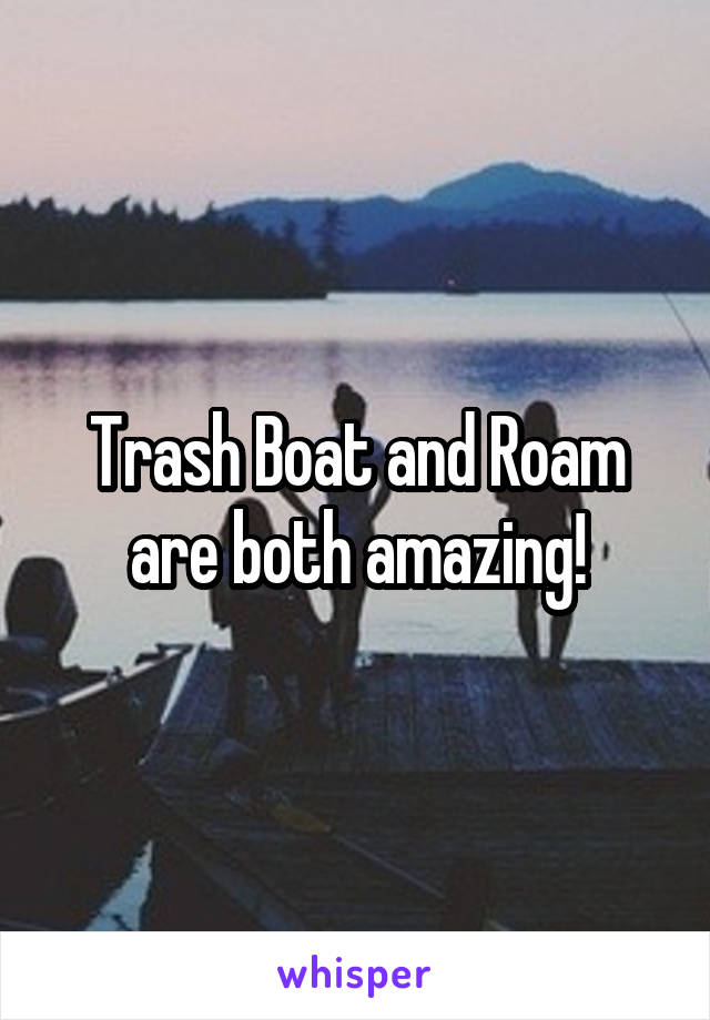 Trash Boat and Roam are both amazing!