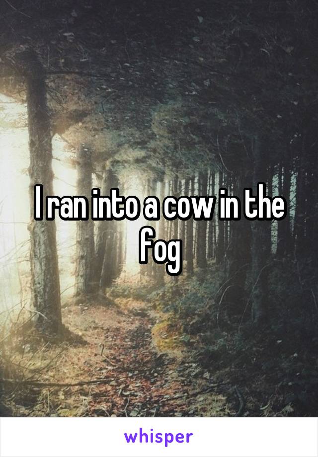 I ran into a cow in the fog