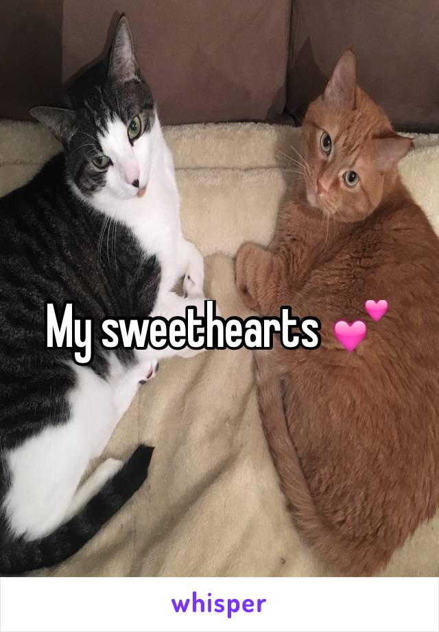 My sweethearts 💕