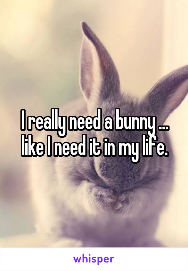 I really need a bunny ... like I need it in my life.