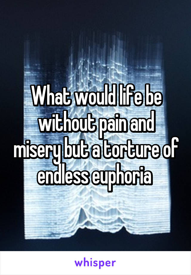 What would life be without pain and misery but a torture of endless euphoria 
