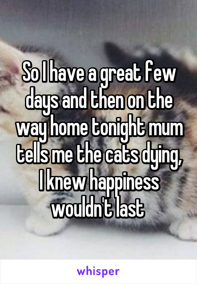 So I have a great few days and then on the way home tonight mum tells me the cats dying, I knew happiness wouldn't last 