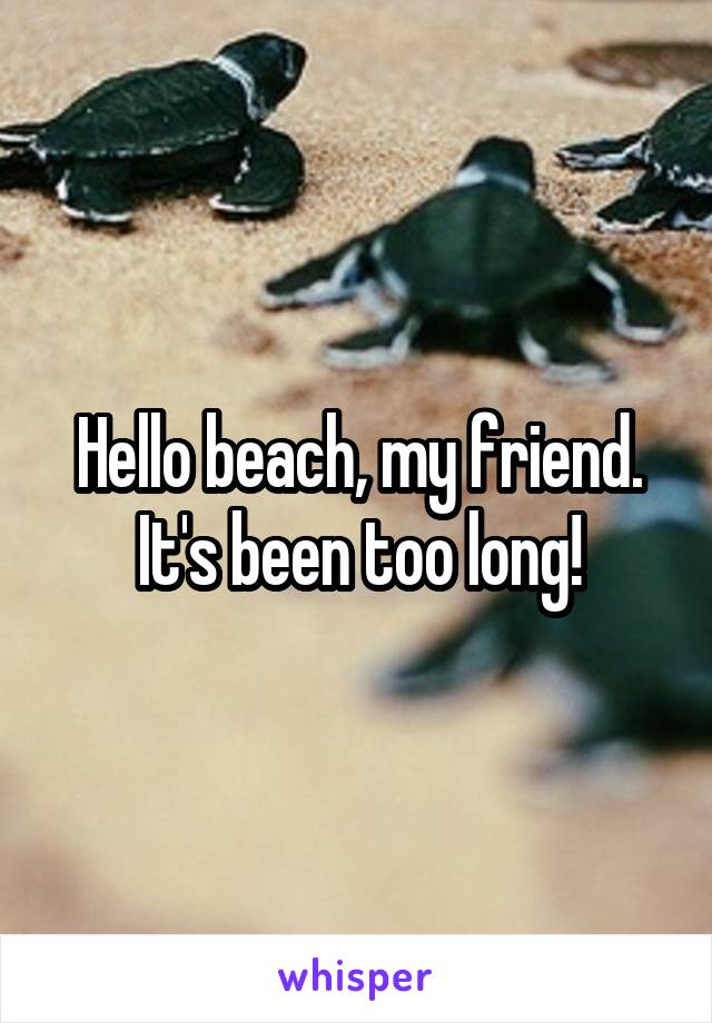 Hello beach, my friend. It's been too long!